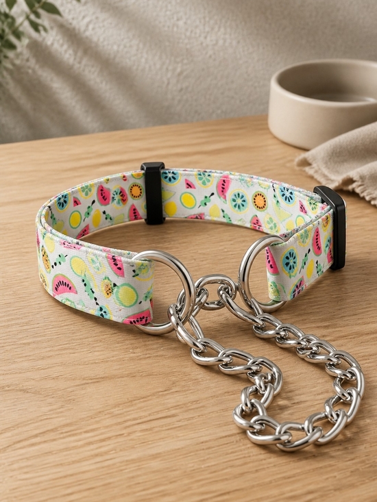 Other - Colorful Fruit Print Martingale Dog Collar